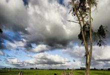 爱游戏官方入口-波兰大胜阿尔巴尼亚，挺进欧锦赛半决赛