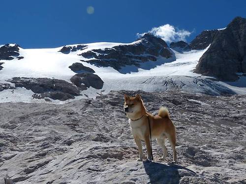 丹麦童话对战印度铁骑,石宇奇那一剑,为何斩断的不仅是胜负?