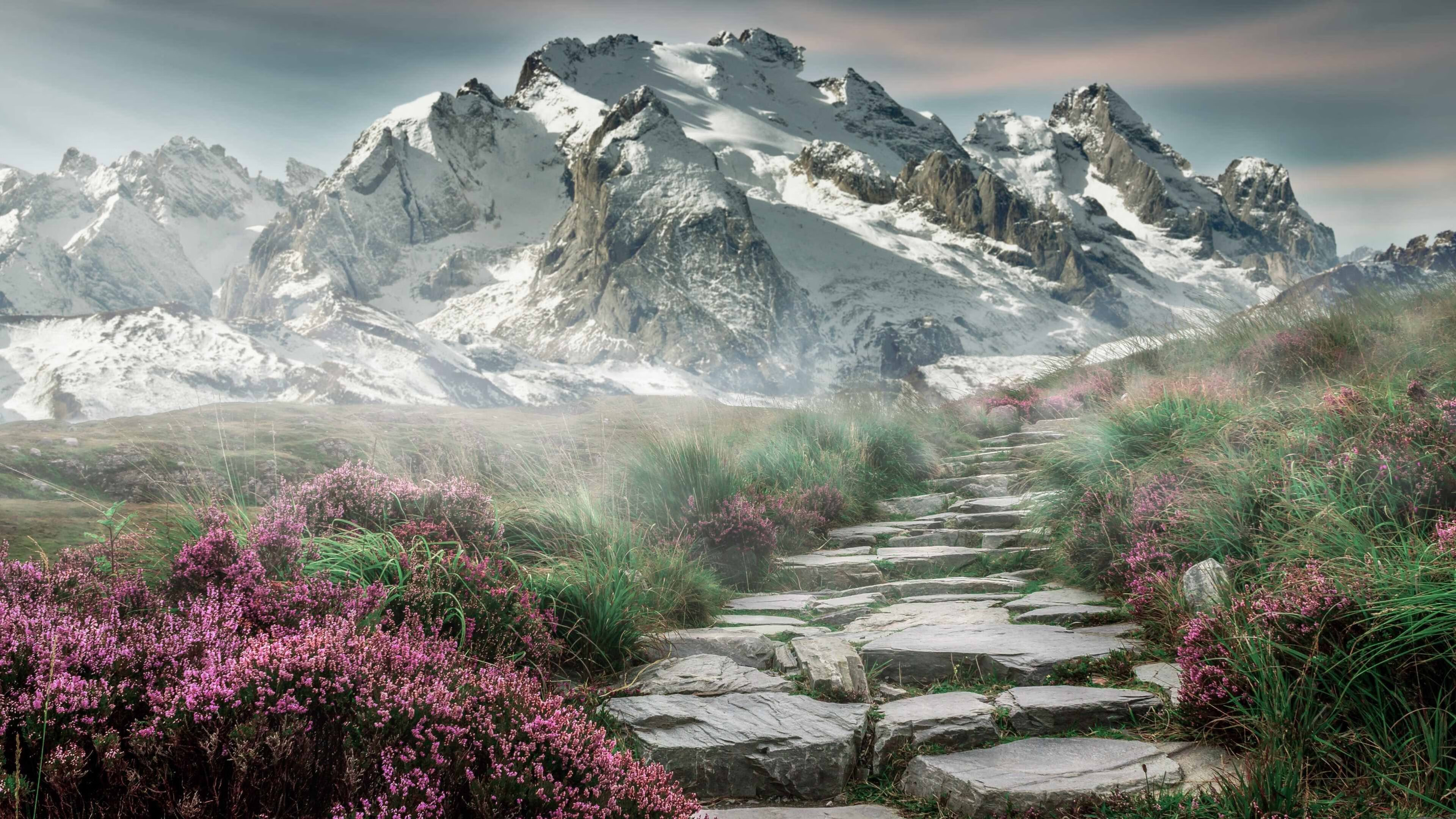 一骑绝尘，米切尔新季揭幕战的惊艳首秀