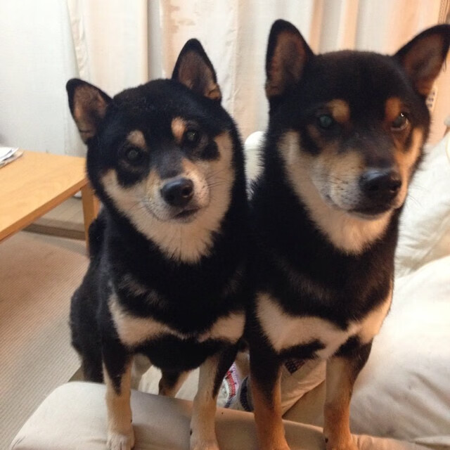 爱游戏-当拉什福德风暴席卷北欧，个人英雄主义与团队碾压的哲学对话