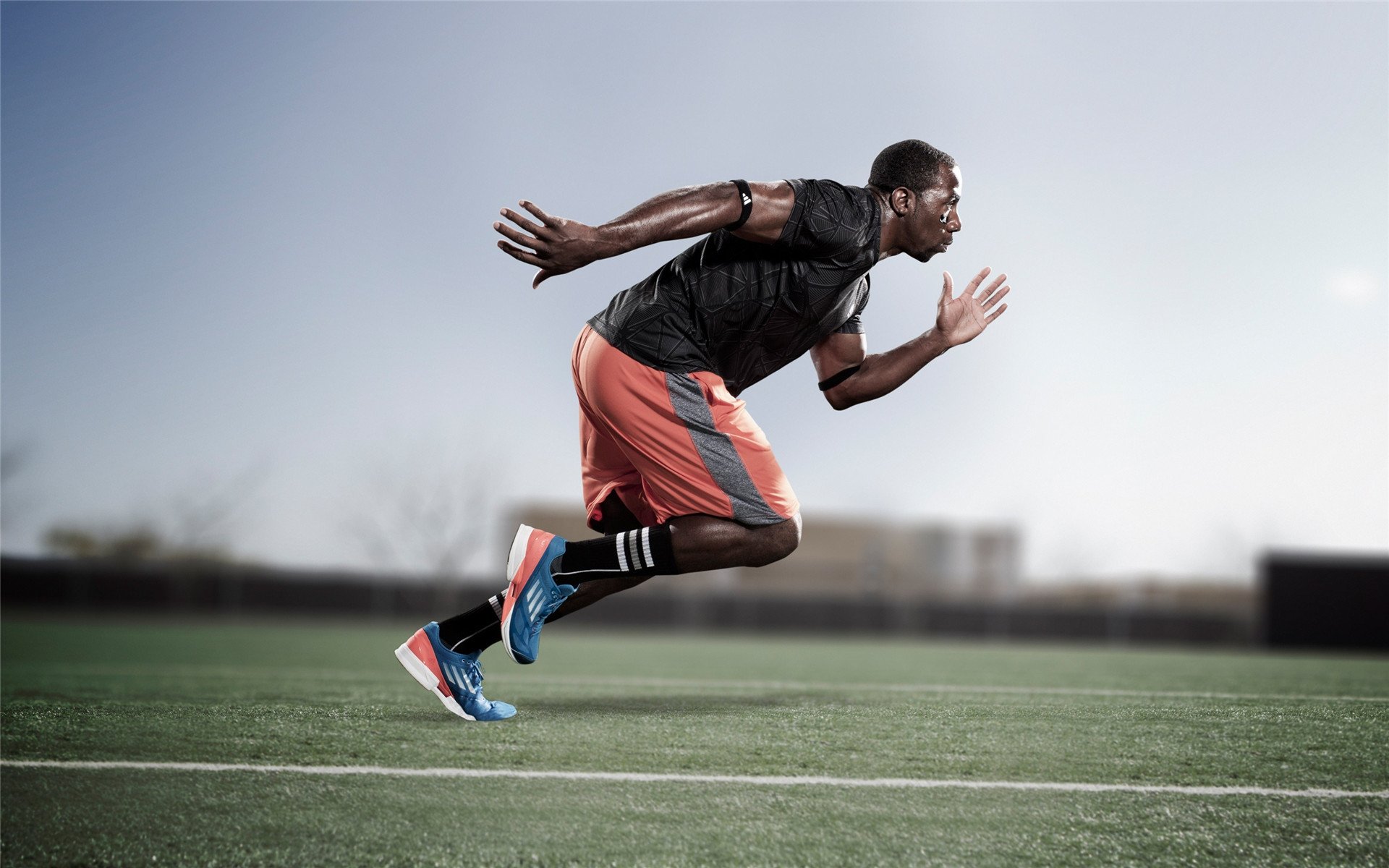 辽宁队轻取凯尔特人，霍勒迪打崩绿军防线展现完美统治力