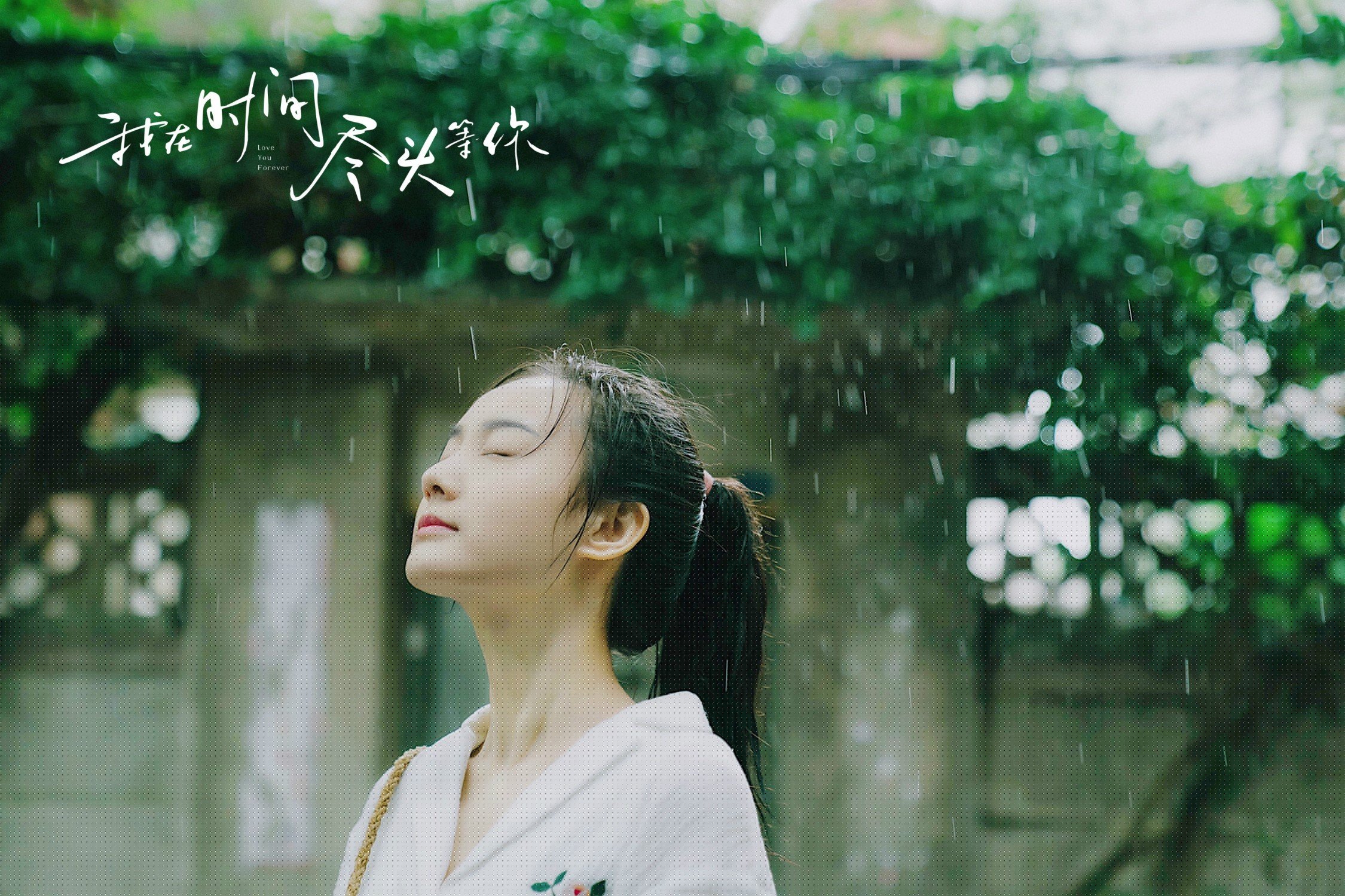 布鲁诺闪耀全场，凌空斩定乾坤！多特蒙德展现王者风范完胜紫百合