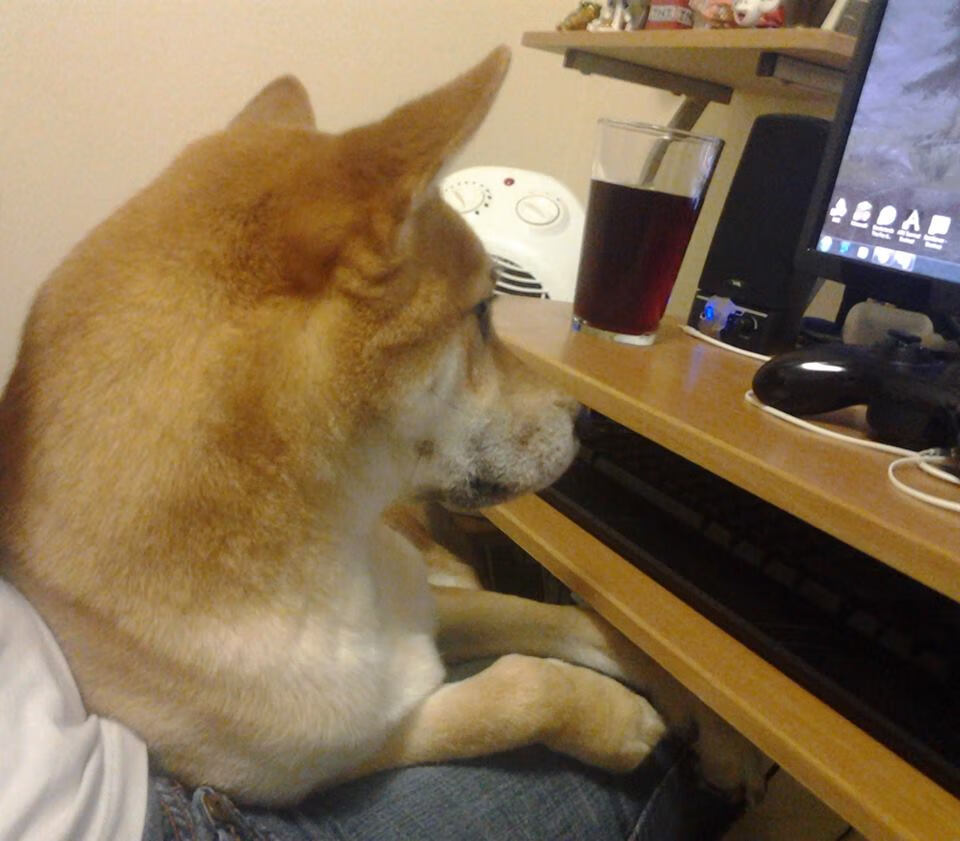 指挥家霍勒迪,以里程碑为符,奏响尼克斯狂胜交响曲