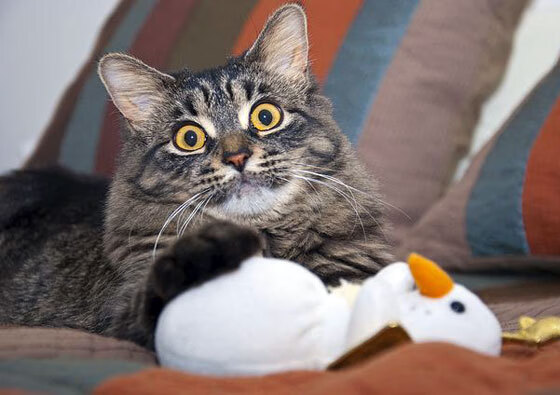 爱游戏在线-末节21分+压哨绝平！克莱梦回巅峰，死亡凝视宣判雷霆死刑