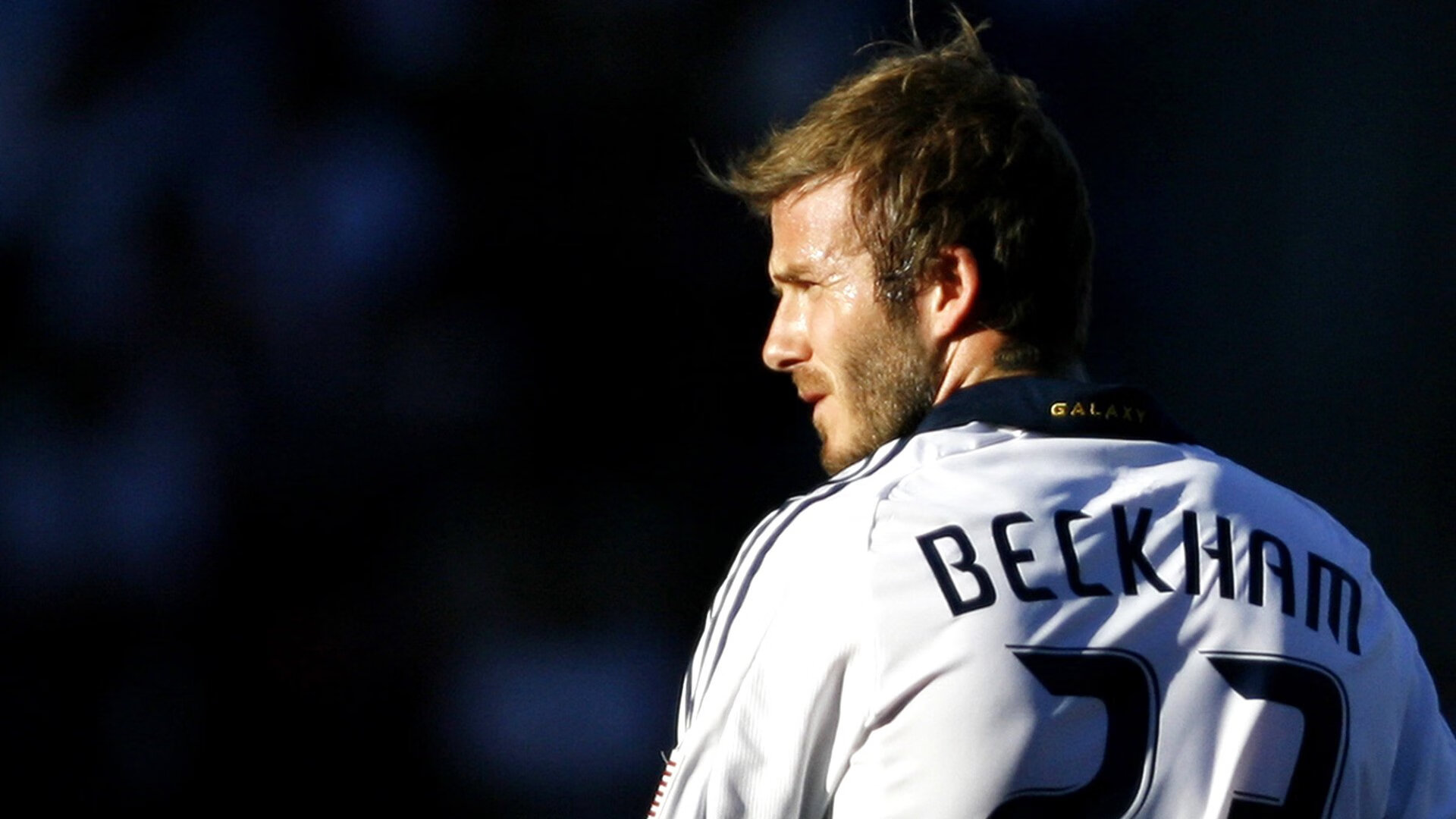 爱游戏在线-彼岸的独行侠，彼岸的莫兰特，决胜基因的时空回响