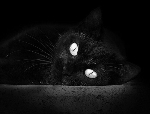 爱游戏在线-格列兹曼奏响中场交响诗，乌克兰硬仗中力克摩洛哥的沙漠风暴