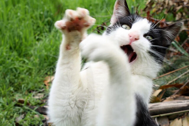 精密仪器与孤胆英雄，当勇士的防守铁幕，遇上杜兰特的不合理艺术