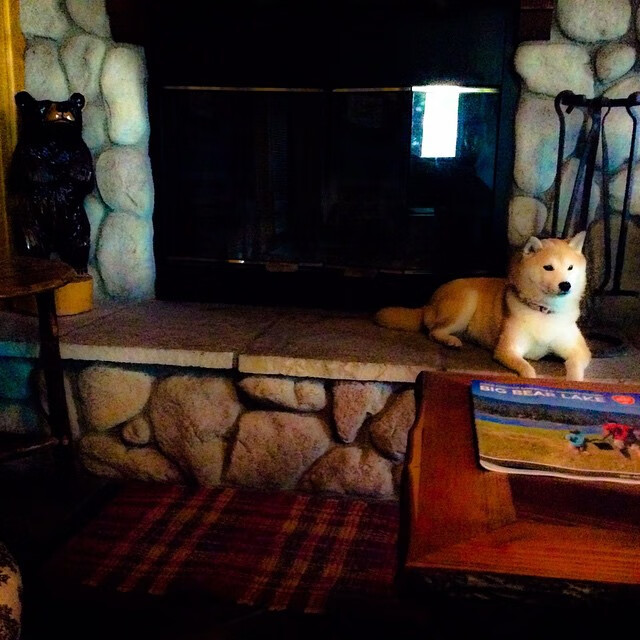 烈火锋刃，托尼一剑封喉，拜仁铁骑踏破塞内加尔战阵