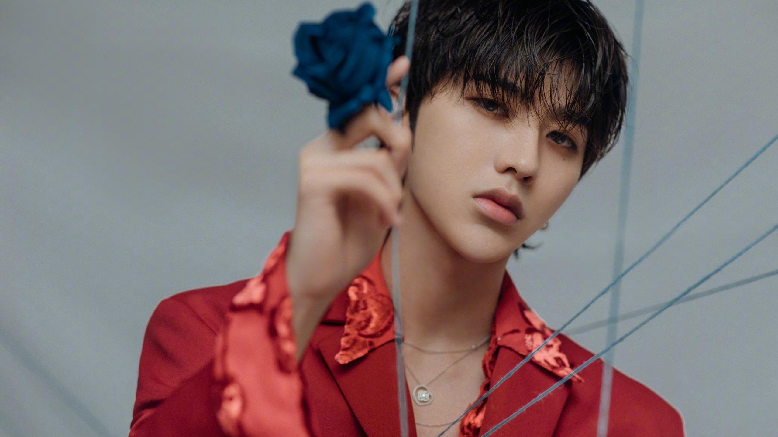 王子复仇记，卡塔尔的铁幕与贝林厄姆的关键钥匙