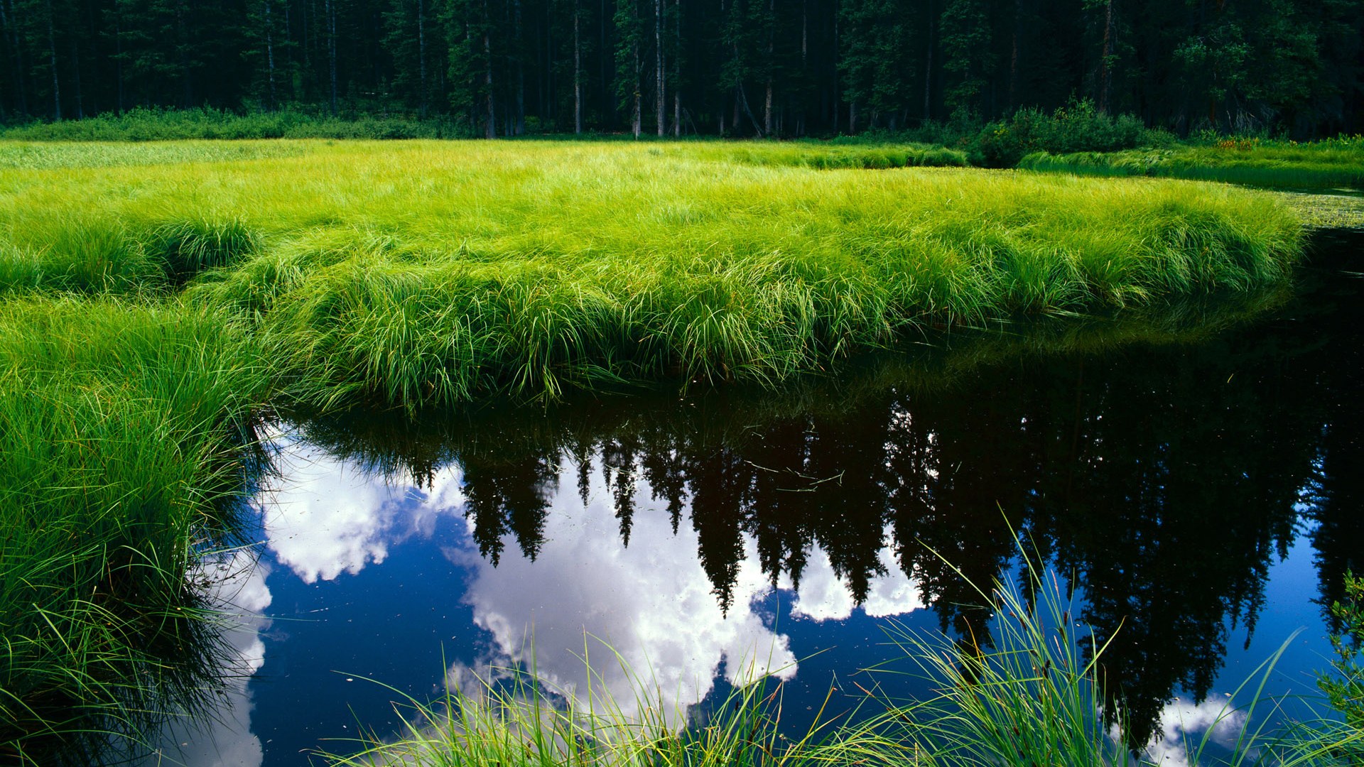 王子复仇记，卡塔尔的铁幕与贝林厄姆的关键钥匙