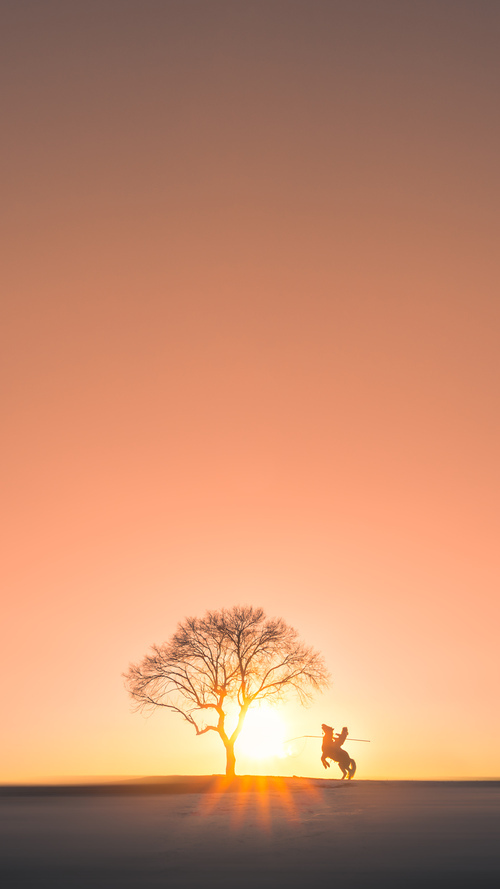 非对称碾压，当丹麦门迪防线让新西兰的勇士精神撞上叹息之墙