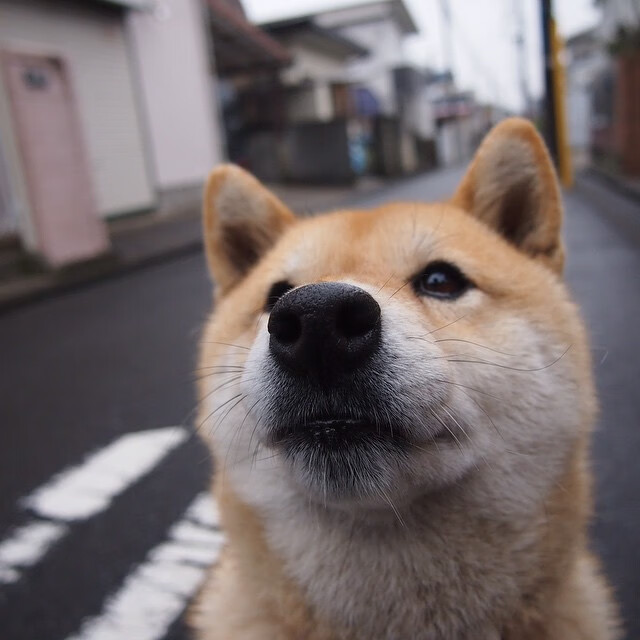 13年时光隔开的镜面，内马尔如何用进球完成一场文化正名