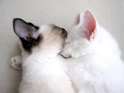 恩佐的爆发与韩国的突围，两个命运时刻如何重塑世界杯格局