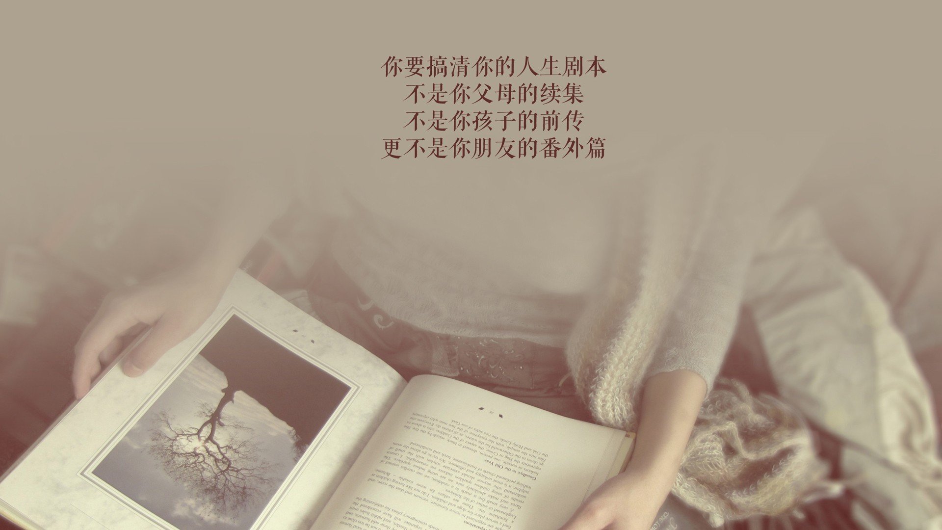 铁壁反击破困局，B费引领葡萄牙，加纳铁骑碾碎泰国梦—2026世界杯E组关键战纪实
